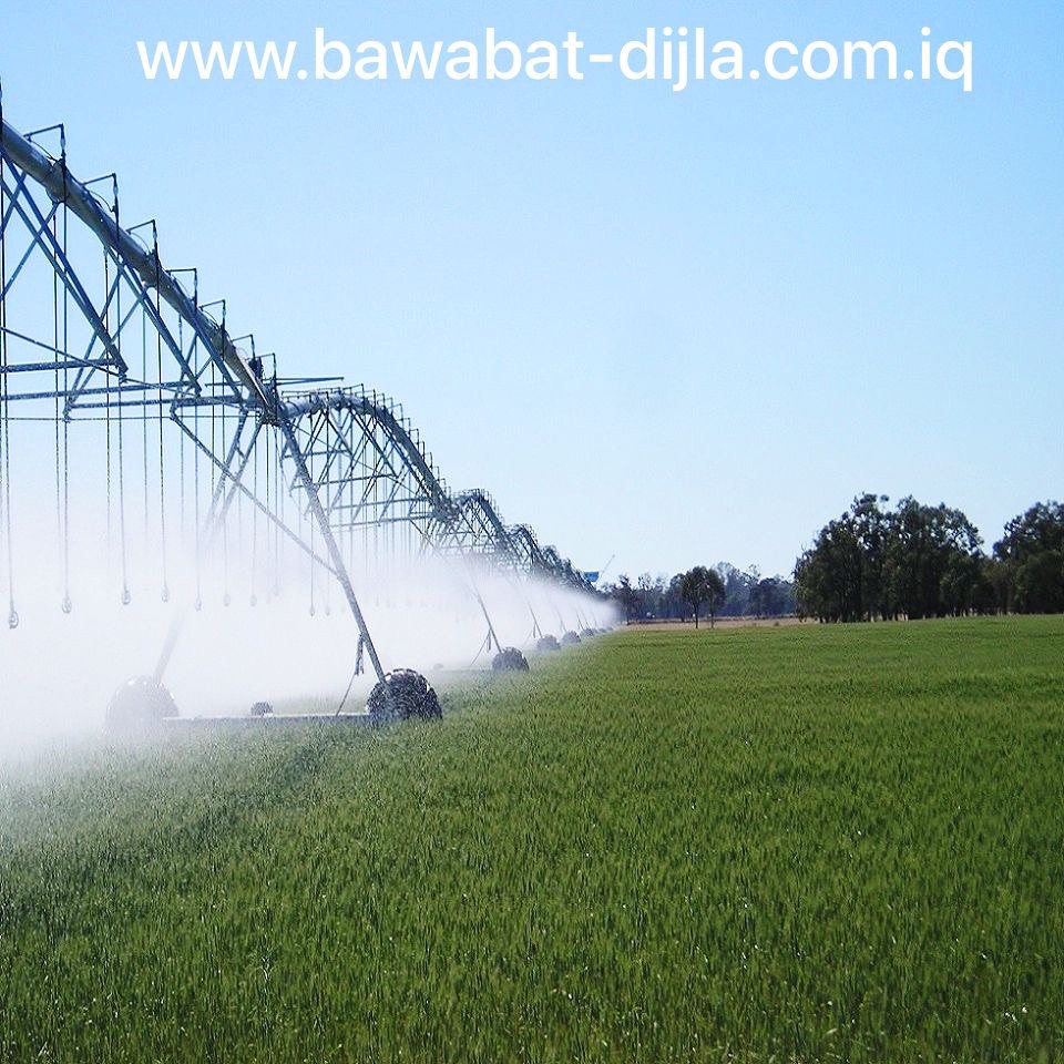 photo_2025-01-28_09-57-48